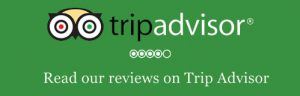 trip advisor 1