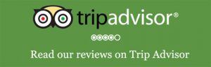 trip advisor