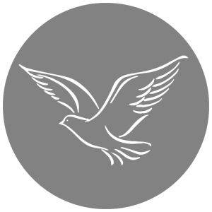 Dove Icon